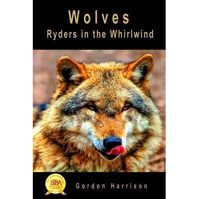 预订 Wolves: Ryders in the Whirlwind: 9781999225902