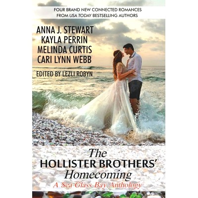 预订 The Hollister Brothers’ Homecoming 霍利斯特兄弟的归来: 9781647100612