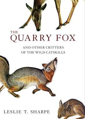 [预订]The Quarry Fox: And Other Critters of the Wild Catskills 9781468312478