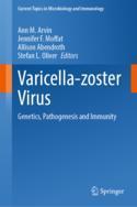 【预订】Varicella-Zoster Virus: Genetics, Pathogenesis and Immunity 9783031153044