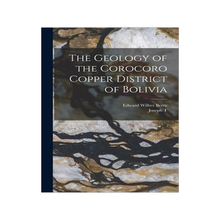 [预订]The Geology of the Corocoro Copper District of Bolivia 9781019189047