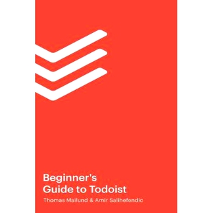 预订 The Beginner’s Guide to Todoist: 9781796566987