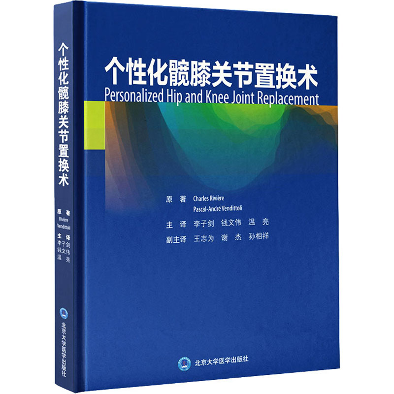 个性化髋膝关节置换术  9787565926389