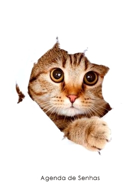 预订 Agenda de Senhas: Agenda Para Enderecos Eletronicos E Senhas: Capa Gato Peekaboo - Portugues (Brasil): 978154292433