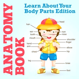 预订 Anatomy Book: Learn about Your Body Parts Edition: 9781681459981