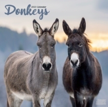 【预订】Donkeys 2023 Wall Calendar 9781839418006
