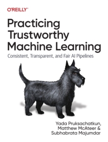 【预订】Practicing Trustworthy Machine Learning: Consistent, Transparent, an 9781098120276
