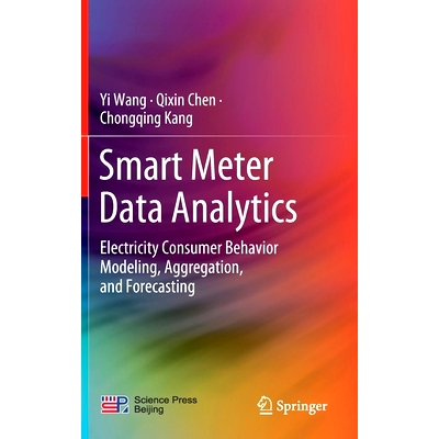Electricity Consumer Behavior Modeling,