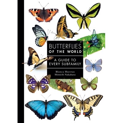 预订 Butterflies of the World: A Guide to Every Subfamily 世界蝴蝶全鉴：从亚科分类到生态保护的视觉盛宴: 9780691265209