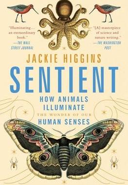 [预订]Sentient: How Animals Illuminate the Wonder of Our Human Senses 9781982156565