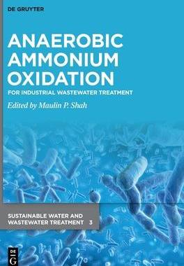 [预订]Anaerobic Ammonium Oxidation 9783110779929