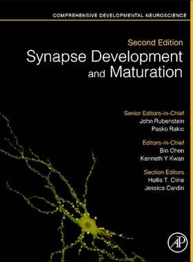 【预订】Synapse Development and Maturation