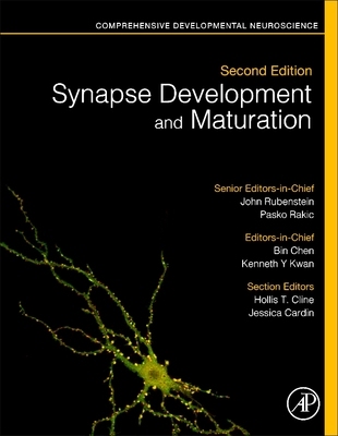 【预订】Synapse Development and Maturation