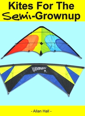 预订 Kites For The Semi-Grownup: Black & White Interior Edition: 9798524713452
