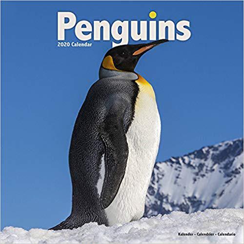 【预售】Penguins Calendar 2020