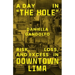 Loss Hole 预订 and Lima Downtown Day 9780226843391 the Excess Risk