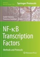 【预订】NF-κB Transcription Factors 9781071616710