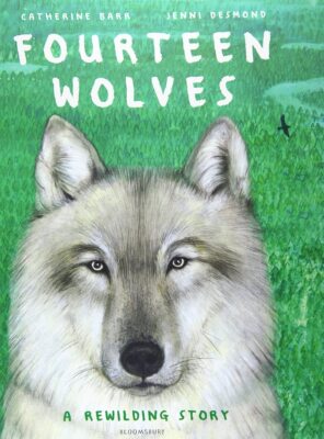 英文原版 黄石公园的十四只狼 Jenni Desmond 插画 精装绘本 Fourteen Wolves: A Rewilding Story