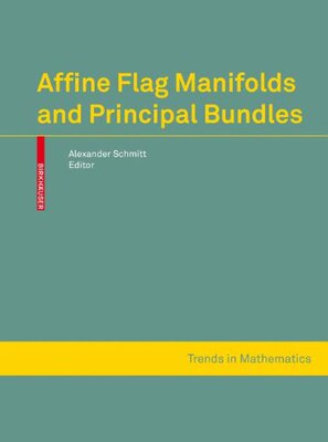 【预订】Affine Flag Manifolds and Principal Bundles