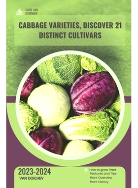 预订 How to Transplant Your Tomatoes in 7 Easy Steps: Guide and overview: 9798872204848