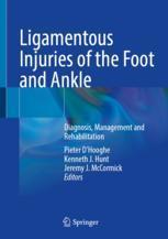 【预订】Ligamentous Injuries of the Foot and Ankle 9783031086816