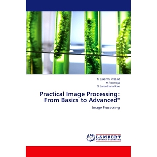Processing From Basics 预订 Advanced Image 9786207804733 Practical