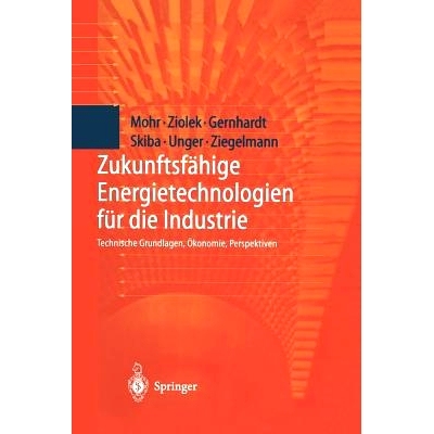 预订 Zukunftsfähige Energietechnologien für die Industrie: Technische Grundlagen, Ökonomie, Perspektiven: 97836426376