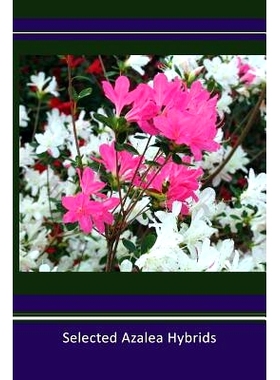 预订 Selected Azalea Hybrids: 9781622883004