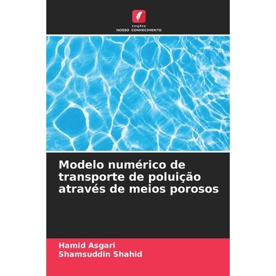 预订 Modelo numérico de transporte de poluição através de meios porosos 9786202428774