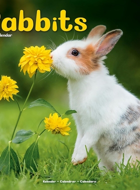 现货 兔子 2026年挂历 宠物摄影 动物写真 英文原版 进口日历 Rabbits 2026 Wall Calendar