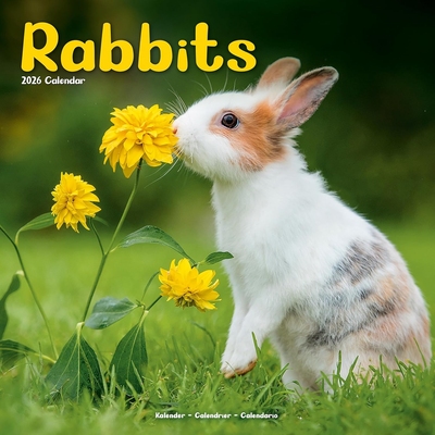 现货 兔子 2026年挂历 宠物摄影 动物写真 英文原版 进口日历 Rabbits 2026 Wall Calendar