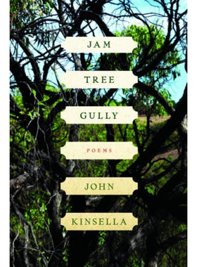 预订 Jam Tree Gully: Poems Jam Tree Gully：诗歌: 9780393341409