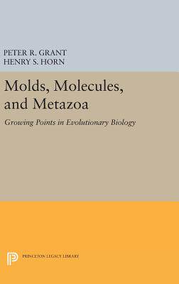 【预订】Molds, Molecules, and Metazoa