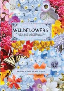 Guide the 预订 Wine 9781087876177 California’s WILDFLOWERS Wildflowers Identifying Country Northern
