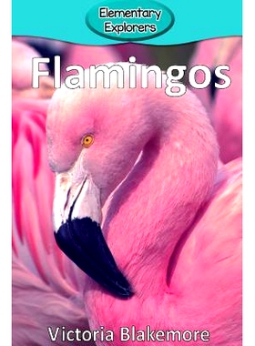 预订 Flamingos: 9780998824338