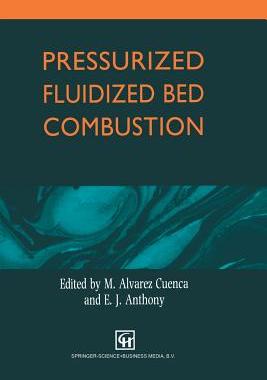 预订 Pressurized Fluidized Bed Combustion
