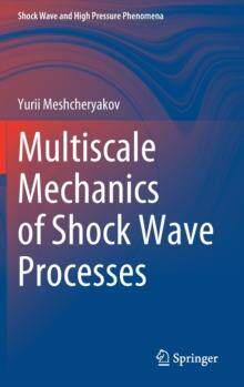 [预订]Multiscale Mechanics of Shock Wave Processes 9789811645297