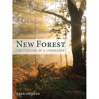 The Forging of a Landscape