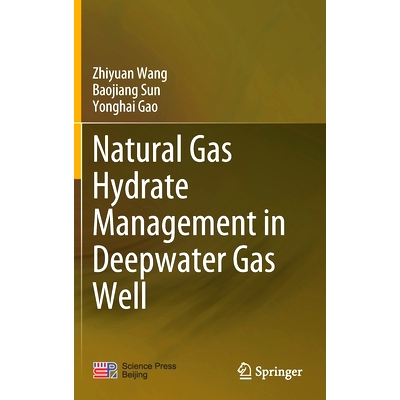 预订 Natural Gas Hydrate Management in Deepwater Gas Well 深水气井天然气水合物管理: 9789811564178