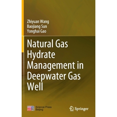 预订 Natural Gas Hydrate Management in Deepwater Gas Well 深水气井天然气水合物管理: 9789811564178