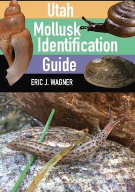 [预订]Utah Mollusk Identification Guide 9781647690878