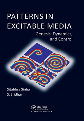 【预订】Patterns in Excitable Media
