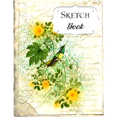 预订 Sketch Book: Bird Sketchbook Scetchpad for Drawing or Doodling Notebook Pad for Creative Artists #4 Yellow Green Fl