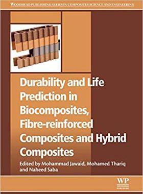 【预订】Durability and Life Prediction in Biocomposites, Fibre-reinforced Composites and Hybrid Composites