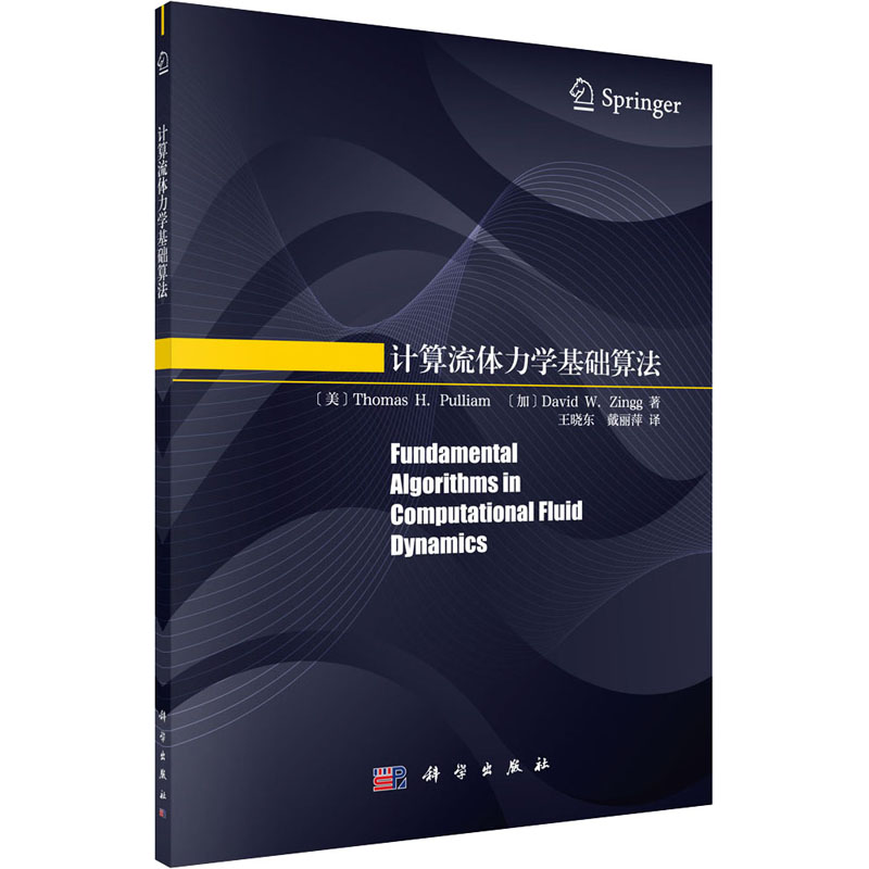 计算流体力学基础算法  9787030629883