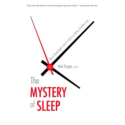Why a Good Night&rsquo;s Rest Is Vital to a B