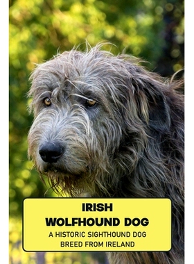 预订 Irish Wolfhound Dog: A Historic Sighthound Dog Breed from Ireland: How Well You Know ABout Irish Wolfhound Dog?: 97