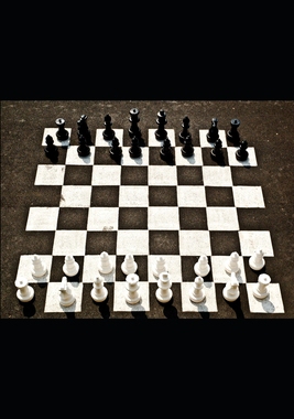 【预订】Forcing move: Improve your chess tactical skill
