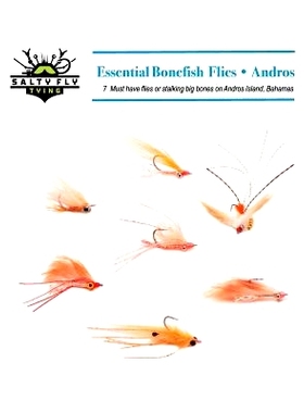 预订 Essential Bonefish Flies - Andros: A guide to tying the 7 must have flies for Andros Island, Bahamas: 9781484014844