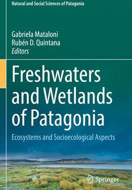 [预订]Freshwaters and Wetlands of Patagonia 9783031100291